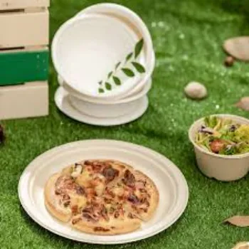 Disposable Bagasse Disposable Plate