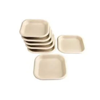 Premium Quality Bagasse Disposable Plate