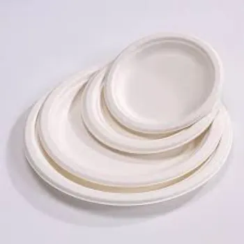 Fine Finish Bagasse Disposable Plate
