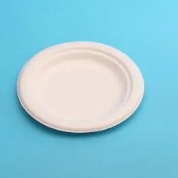 Good Quality Biodegradable Tray