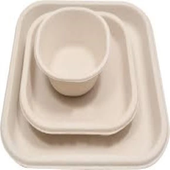 Perfect accuracy Bagasse Disposable Plate