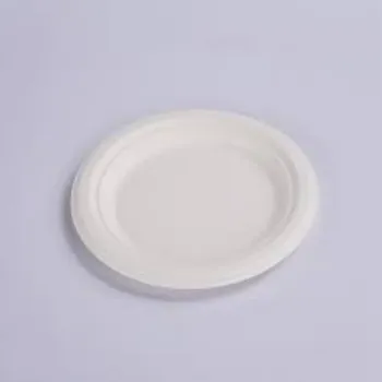 Standard Bagasse Disposable Plate