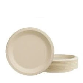 New Bagasse Disposable Plate
