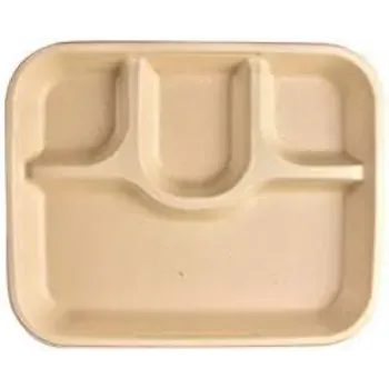 New Bagasse Disposable Plate