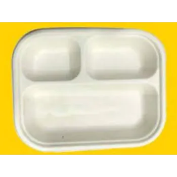 All Color Bagasse Disposable Plate