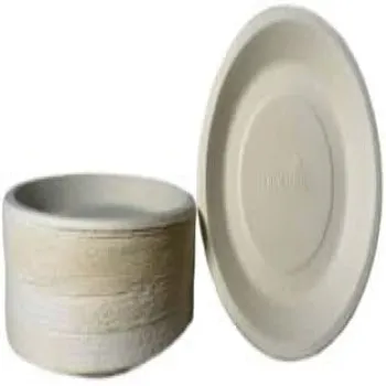 Bagasse Disposable Plate