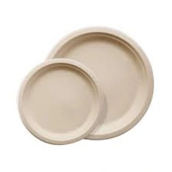 Bagasse Disposable Plate