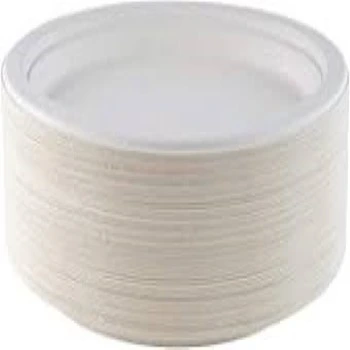 Bagasse Disposable Plate