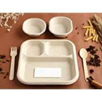 Standard Biodegradable Tray