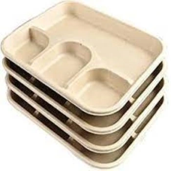 Bagasse Disposable Plate