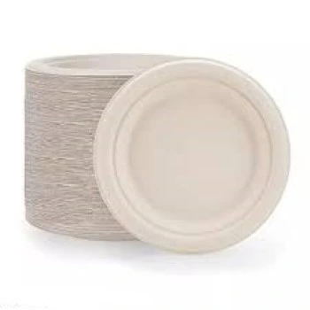Bagasse Disposable Plate