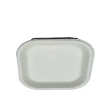 Disposable Bagasse Disposable Plate