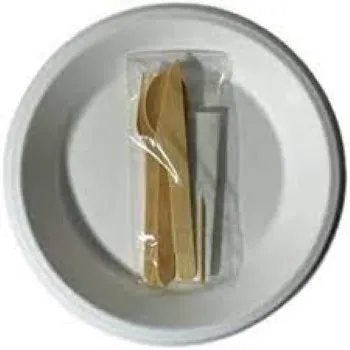 Coated Bagasse Disposable Plate