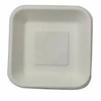 Multi Size Bagasse Disposable Plate