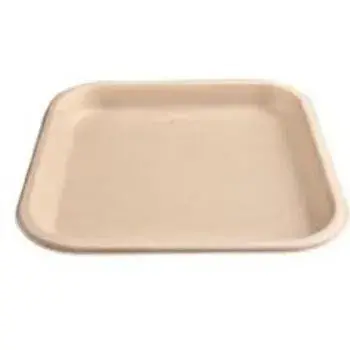 Bagasse Disposable Plate