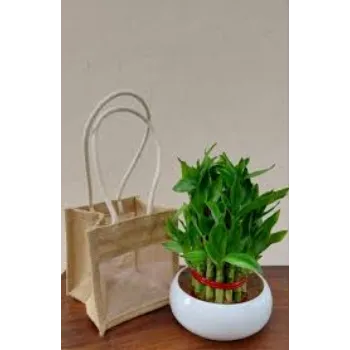 A.p. Flower Mart Bamboo Plant
