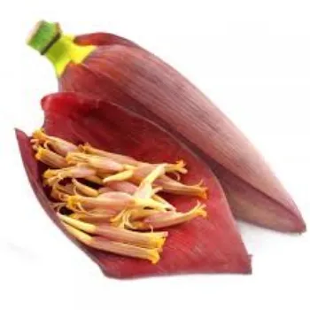 RAJESWARI NURSERY Banana Flower
