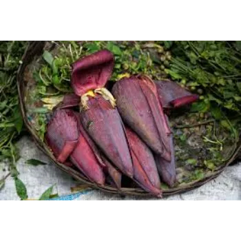 Fresh  Banana Flower