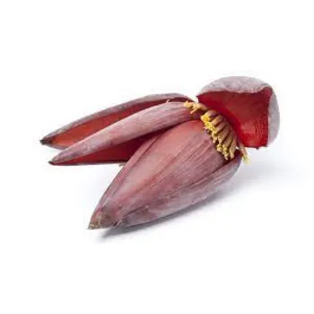 Natural Banana Flowers