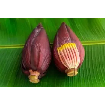 Fresh Banana Flowers