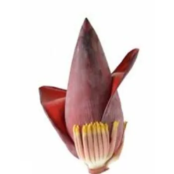 Fresh Banana Flower