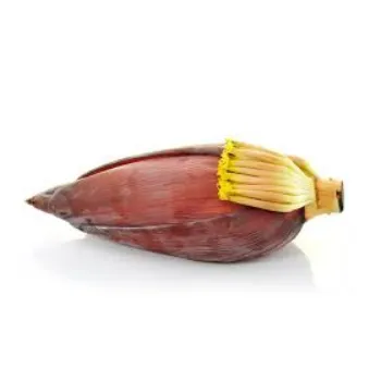 Common Banana Flower