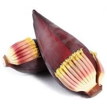 Natural Banana Flowers