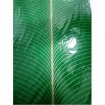 Banana Leaf Film