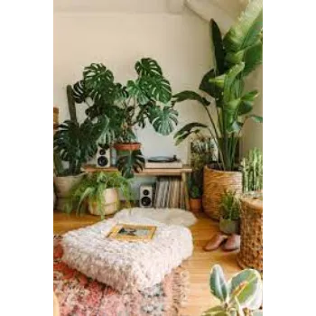 Common Banana Plants