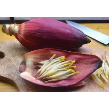 Red Banana Plant Manufacturer