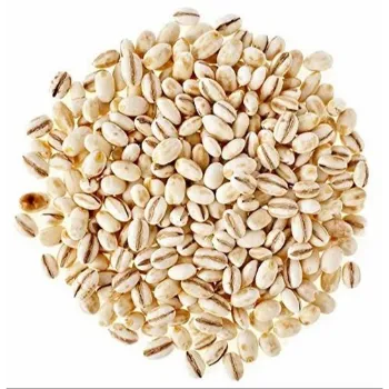 Common Barley