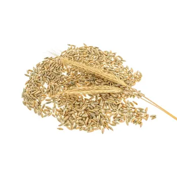 A Grade Barley