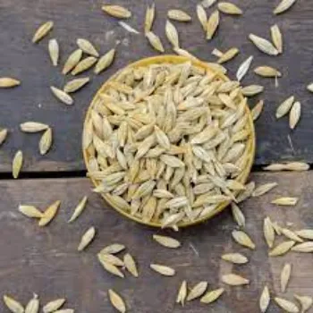 Natural Barley