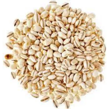 Natural Organic Barley