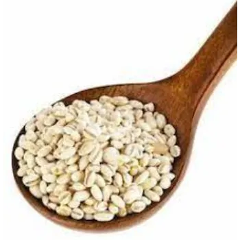 Common Barley