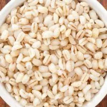 Common  Barley