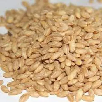 Natural Barley