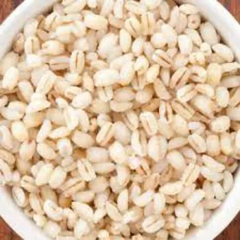 Organic Barley