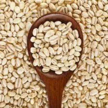 Natural Organic Barley