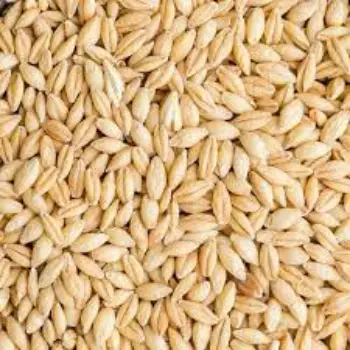 Natural Barley