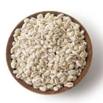 Barley