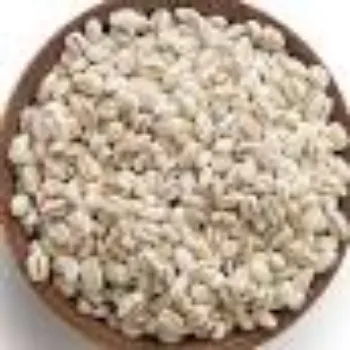 Organic Barley