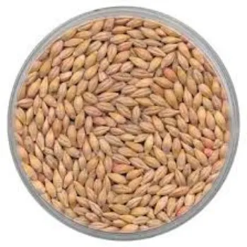 Natural Barley
