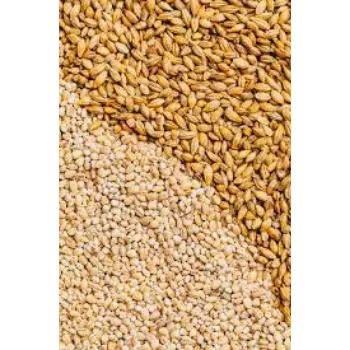 Natural Organic Barley