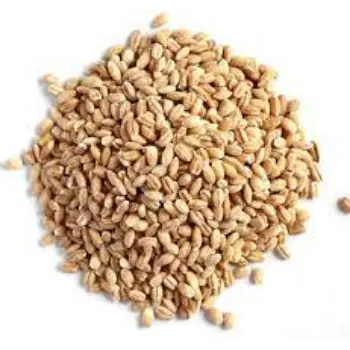 Natural Barley