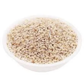 Organic Indian Barley