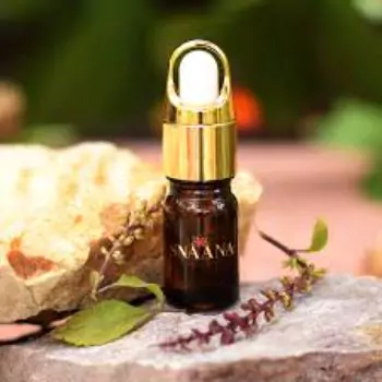 Basil Massage Oil