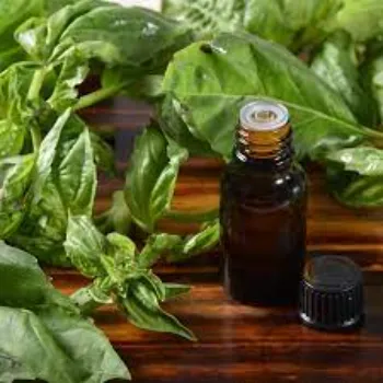 Basil Massage Oil