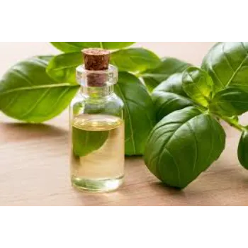 Basil Massage Oil