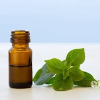 Basil Massage Oil